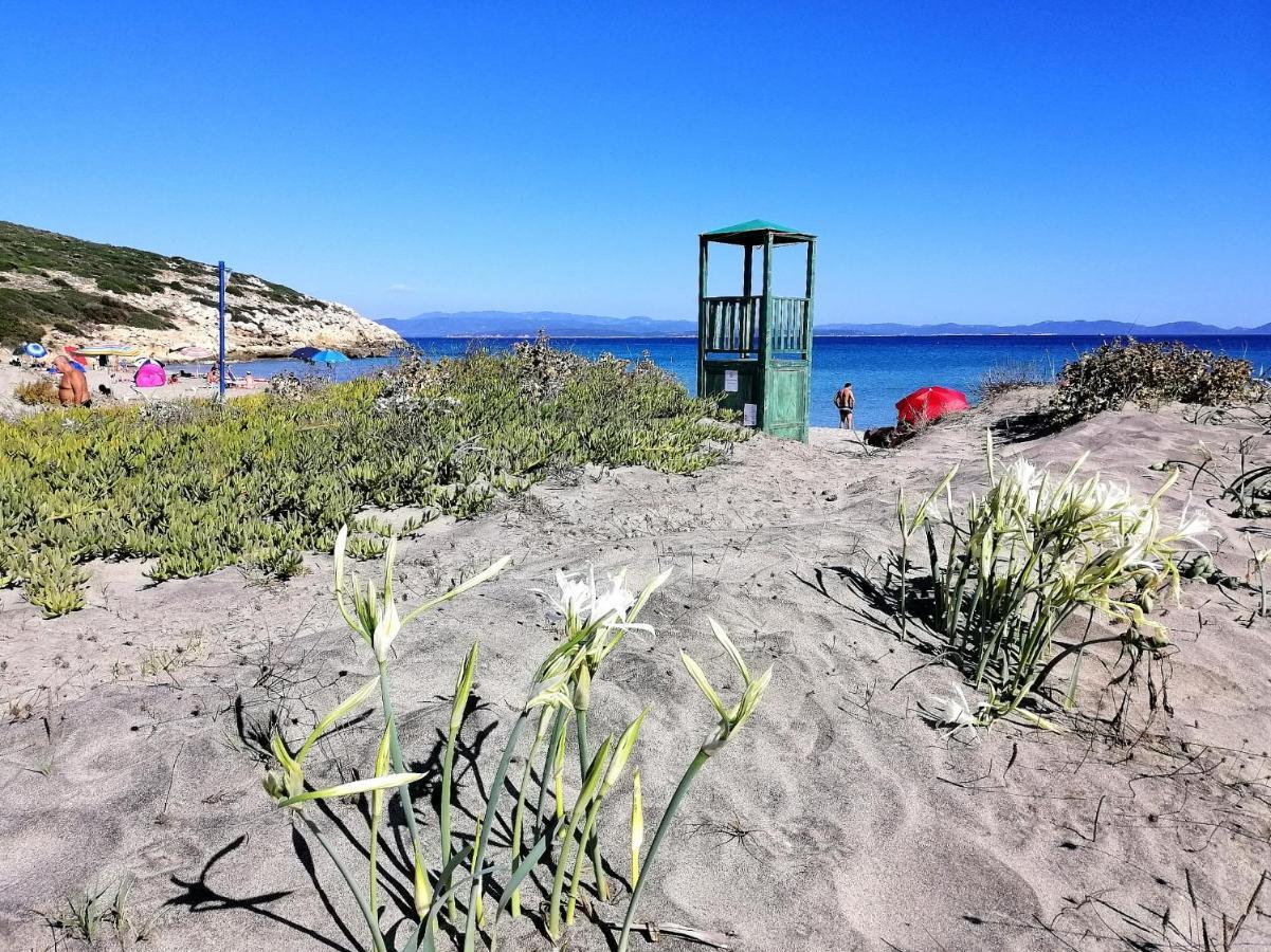 B&B Glamping Semaforo Capo Sperone SantʼAntìoco Buitenkant foto