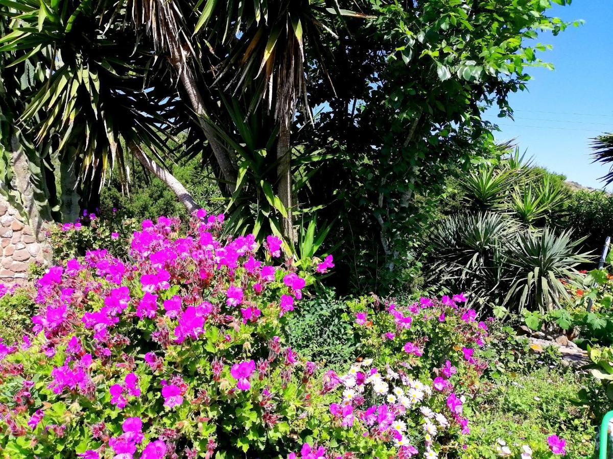 B&B Glamping Semaforo Capo Sperone SantʼAntìoco Buitenkant foto